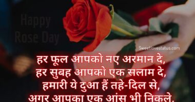 Happy Rose Day Shayari Quotes Hindi, shayari on rose in hindi, shayari on rose flower in hindi, two line shayari on rose, gulab shayari 2 lines hindi, rose day shayari in english, rose shayari in hindi for girlfriend, rose status in hindi 2 line, rose image shayari,