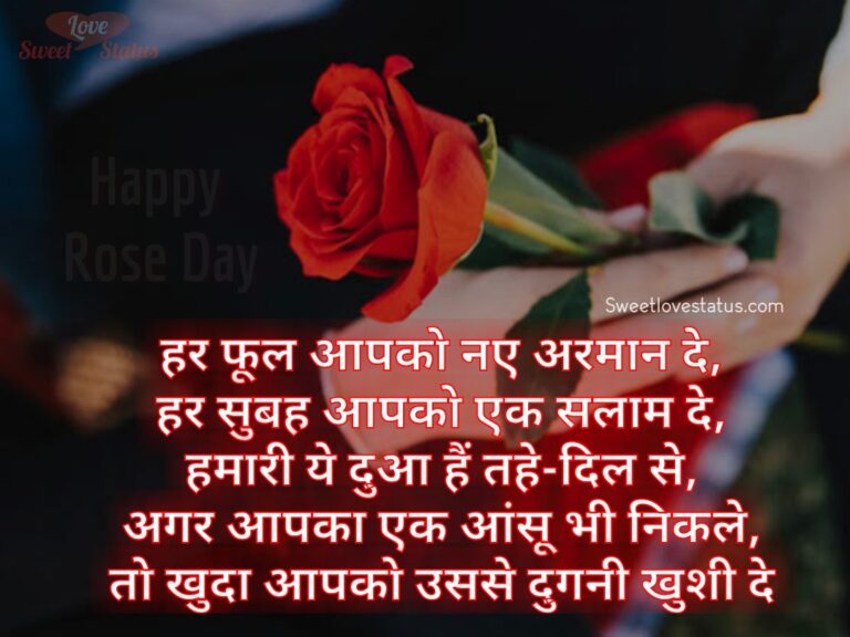 Happy Rose Day Shayari Quotes Hindi, shayari on rose in hindi, shayari on rose flower in hindi, two line shayari on rose, gulab shayari 2 lines hindi, rose day shayari in english, rose shayari in hindi for girlfriend, rose status in hindi 2 line, rose image shayari,